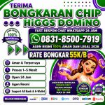 thumbnail-terima-bongkar-chip-hdi-higgs-domino-island-jual-beli-chip-hdi-wa-083185007919-0