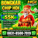 thumbnail-terima-bongkar-chip-hdi-higgs-domino-island-amanah-terpercaya-wa-083185007919-0