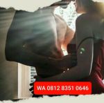 thumbnail-obat-kuat-mangga-besar-0812-8351-0646-dua-kalideres-cengkareng-grogol-palmerah-0
