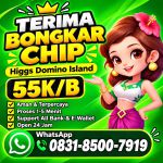thumbnail-terima-bongkaran-chip-higgs-domino-island-amanah-terpercaya-0831-8500-7919-0