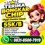 thumbnail-terima-bongkar-chip-hdi-higgs-domino-island-jual-beli-chip-higgs-domino-24-jam-0