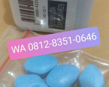 O8I2-835I-O646 Obat~Kuat Matraman Utan Kayu Manis Pal Meriam Pisangan Baru