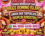 thumbnail-terima-bongkar-chip-hdi-higgs-domino-island-dan-royal-dream-0