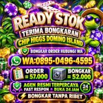 thumbnail-terima-bongkar-chip-hdi-higgs-domino-island-jual-beli-chip-hdi-wa-0895-04964595-0