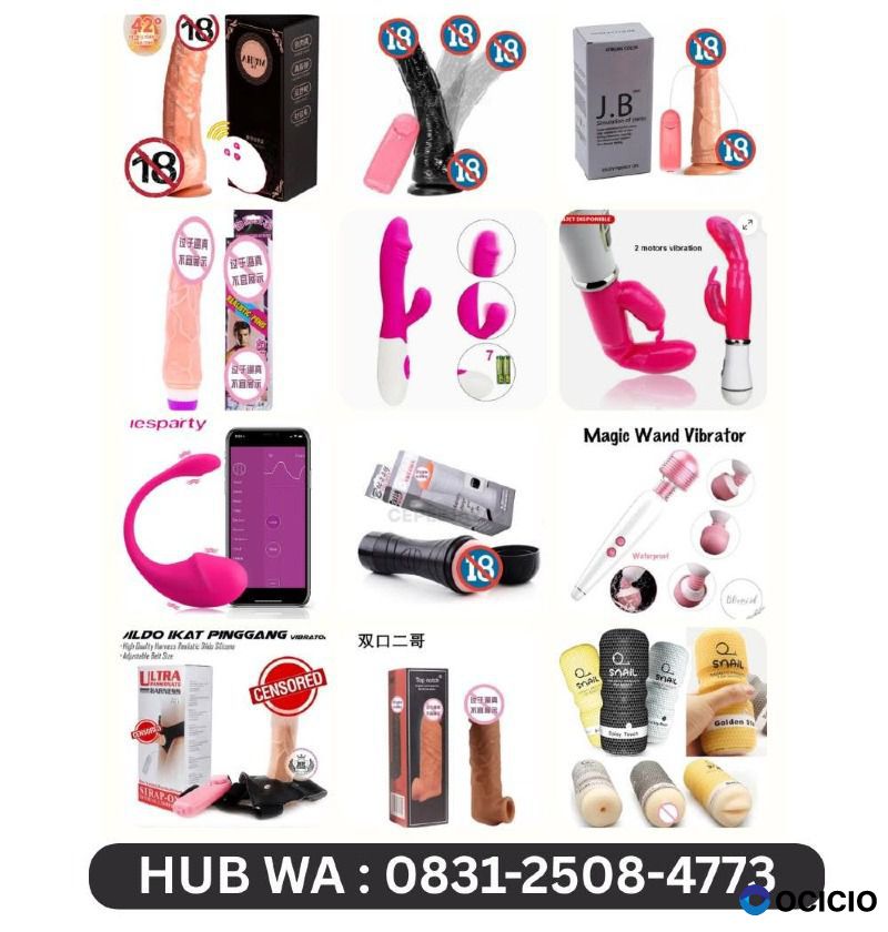 0831-2508-4773 Jual Alat Bantu Wanita Bergetar Vibrator Wanita Getar Di Bogor
