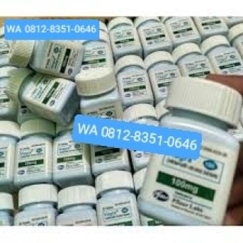 O8I2-835I-O646 Obat~Kuat Kalibata Pancoran Cikoko Duren Tiga Pengadegan Rawajati