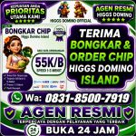thumbnail-agen-terima-bongkaran-chip-higgs-domino-amanah-dan-tepercaya-admin-resmi-0