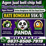 thumbnail-khusus-terima-bongkar-chip-domino-island-higgs-buka-24jam-wa0831-8500-7919-0