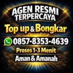 thumbnail-terima-bongkar-chip-higgs-domino-island-aman-dan-terpercaya-085783534639-0