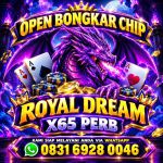 thumbnail-agen-terima-bongkar-chip-royal-dream-jasa-bongkar-chip-royal-dream-indonesia-0