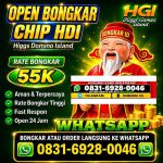 thumbnail-agen-terima-bongkar-chip-higgs-domino-island-hdi-0