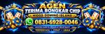 thumbnail-agen-terima-bongkar-chip-higgs-domino-island-hdi-open-24-jam-0