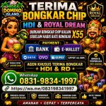 thumbnail-open-bongkaran-chip-higgs-domino-terpercaya-khusus-bongkaran-hgi-terpercaya-0