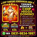 thumbnail-khusus-terima-bongkaran-chip-higgs-domino-island-amanah-dan-tepercaya-aman-0
