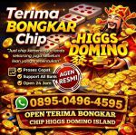 thumbnail-terima-bongkaran-chip-higgs-domino-amanah-proses-cepat-resmi-hdi-0