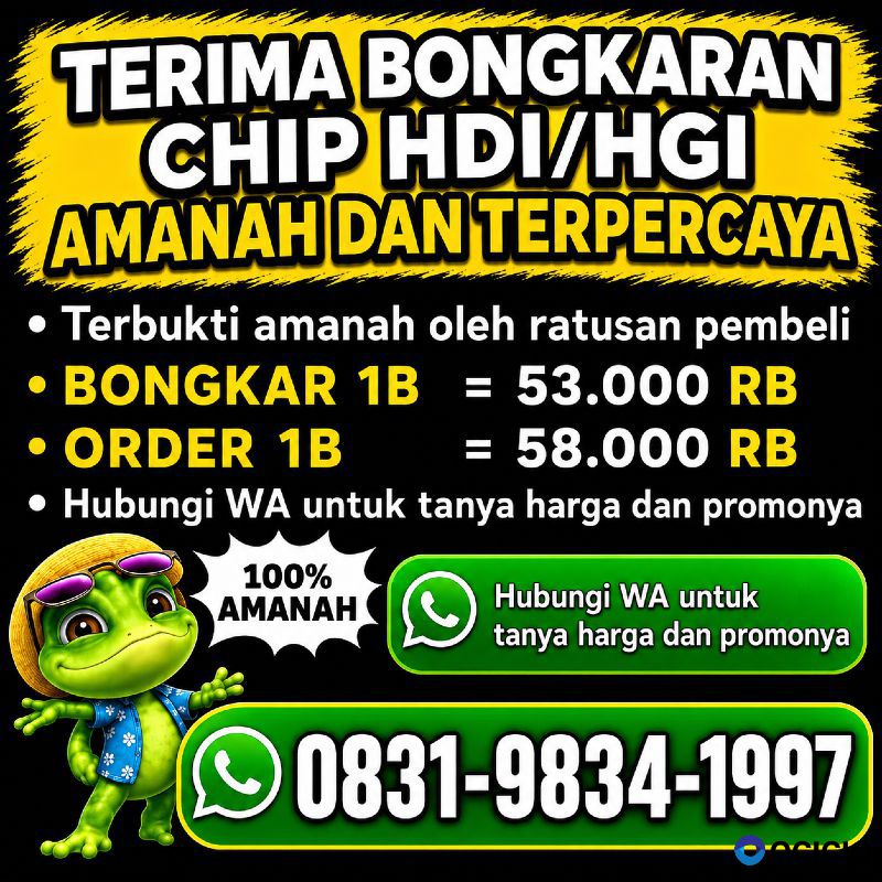 Agen Bongkar Chip Higgs Domino Island Amanah Dan Tepercaya 💯 Resmi Amanah