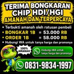 thumbnail-agen-bongkar-chip-higgs-domino-island-amanah-dan-tepercaya-resmi-amanah-0