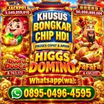 thumbnail-agen-terima-bongkar-chip-higgs-domino-island-fast-respon-wa0895-04964595-0