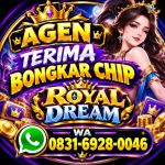 thumbnail-agen-terima-bongkar-chip-royal-dream-terpercaya-wa-0831-6928-0046-0
