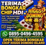 thumbnail-terima-bongkar-chip-hdi-higgs-domino-island-jual-beli-chip-hdi-wa089504964595-0