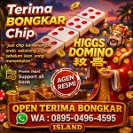 thumbnail-terima-bongkar-chip-hdi-higgs-domino-island-jual-beli-chip-hdi-wa0895-04964595-0
