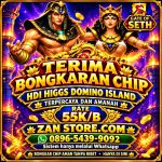 thumbnail-terima-bongkar-chip-higgs-domino-island-aman-dan-terpercaya-0