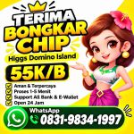 thumbnail-terima-bongkar-chip-hdi-higgs-domino-island-jual-beli-chip-hdi-wa-083198341997-0