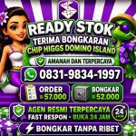 thumbnail-khusus-terima-bongkar-chip-domino-island-higgs-buka-24jam-wa0831-9834-1997-0