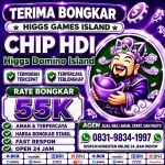 thumbnail-terima-bongkar-chip-hdi-higgs-domino-island-jual-beli-chip-hdi-wa-083198341997-0