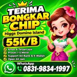 thumbnail-khusus-terima-bongkar-chip-domino-island-higgs-buka-24jam-wa0831-9834-1997-0