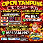 thumbnail-terima-bongkar-chip-hdi-higgs-domino-island-jual-beli-chip-hdi-wa-083198341997-0