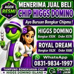 thumbnail-terima-bongkar-chip-hdi-chip-rd-proses-cepat-buka-24-jam-aman-wa-083198341997-0