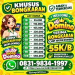 thumbnail-agen-terima-bongkaran-chip-higgs-domino-amanah-dan-tepercaya-admin-resmi-0