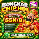 thumbnail-agen-terima-bongkaran-chip-higgs-domino-amanah-dan-tepercaya-admin-resmi-0
