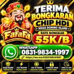 thumbnail-terima-bongkar-chip-hdi-higgs-domino-island-jual-beli-chip-hdi-wa-083198341997-0
