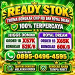thumbnail-terima-bongkar-chip-hdi-higgs-domino-island-jual-beli-chip-wa089504964595-0