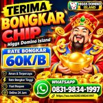 thumbnail-terima-bongkar-chip-hdi-higgs-domino-island-jual-beli-chip-hdi-wa-083198341997-0
