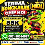 thumbnail-terima-bongkar-chip-hdi-higgs-domino-island-jual-beli-chip-hdi-wa-083198341997-0