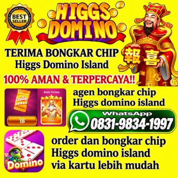 TERIMA BONGKAR CHIP HDI HIGGS DOMINO ISLAND JUAL BELI CHIP HDI WA 083198341997