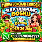 thumbnail-agen-terima-bongkaran-chip-higgs-domino-amanah-dan-tepercaya-admin-resmi-0