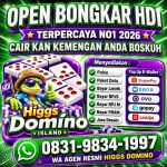 thumbnail-terima-bongkar-chip-hdi-higgs-domino-island-jual-beli-chip-hdi-wa-083198341997-0