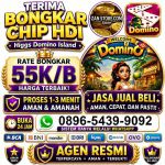 thumbnail-khusus-terima-bongkar-chip-domino-island-higgs-buka-24jam-wa0896-5439-9092-0