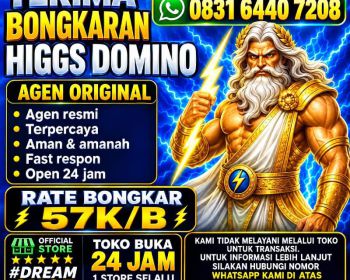 agen terima bongkaran chip higgs domino island amanah dan tepercaya 💯 resmi