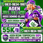 thumbnail-khusus-terima-bongkar-chip-domino-island-higgs-buka-24jam-wa0831-9834-1997-0