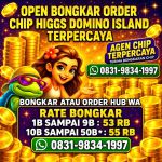 thumbnail-terima-bongkar-chip-hdi-higgs-domino-island-jual-beli-chip-hdi-wa-083198341997-0