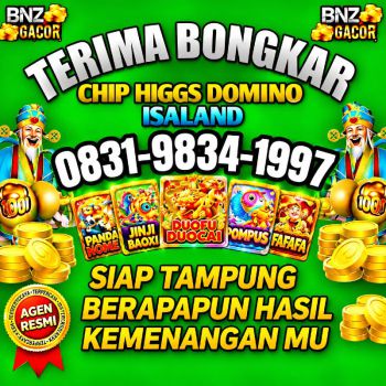 Agen Terima Bongkaran Chip Higgs Domino Amanah Dan Tepercaya 💯 Admin Resmi