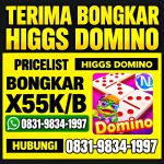 thumbnail-terima-bongkar-chip-hdi-higgs-domino-island-jual-beli-chip-hdi-wa-083198341997-0