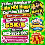 thumbnail-khusus-terima-bongkar-chip-domino-island-higgs-buka-24jam-wa0831-9834-1997-0