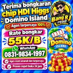 thumbnail-terima-bongkar-chip-hdi-higgs-domino-island-jual-beli-chip-hdi-wa-083198341997-0