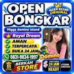 thumbnail-khusus-terima-bongkar-chip-domino-island-higgs-buka-24jam-wa0831-9834-1997-0